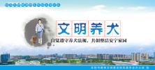 文明养犬.jpg