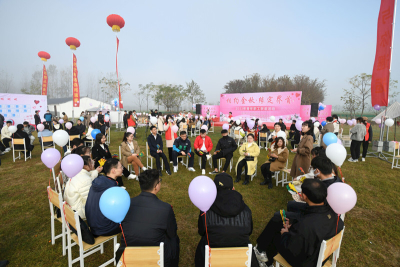 db0155bdde25469dad1577206078283c_b_B_BASIC_副本.jpg