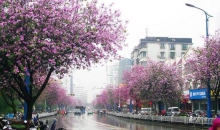 guUo-fxqhmve9155795.jpg