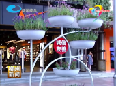 QQ截图20170927093536.png