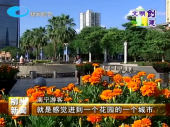 QQ截图20170928085317.png