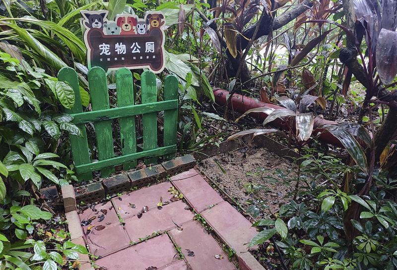如何文明养犬？南宁多个小区有妙招