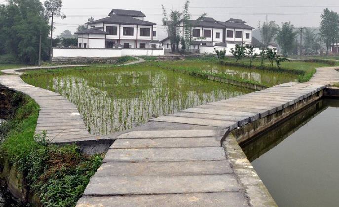 重庆南岸建立监督约束机制 保持政务窗口始终明亮