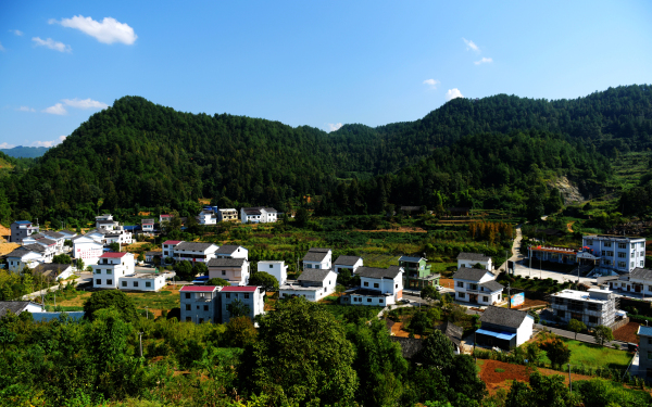 青杠坝村.jpg