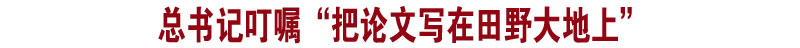 头条.jpg