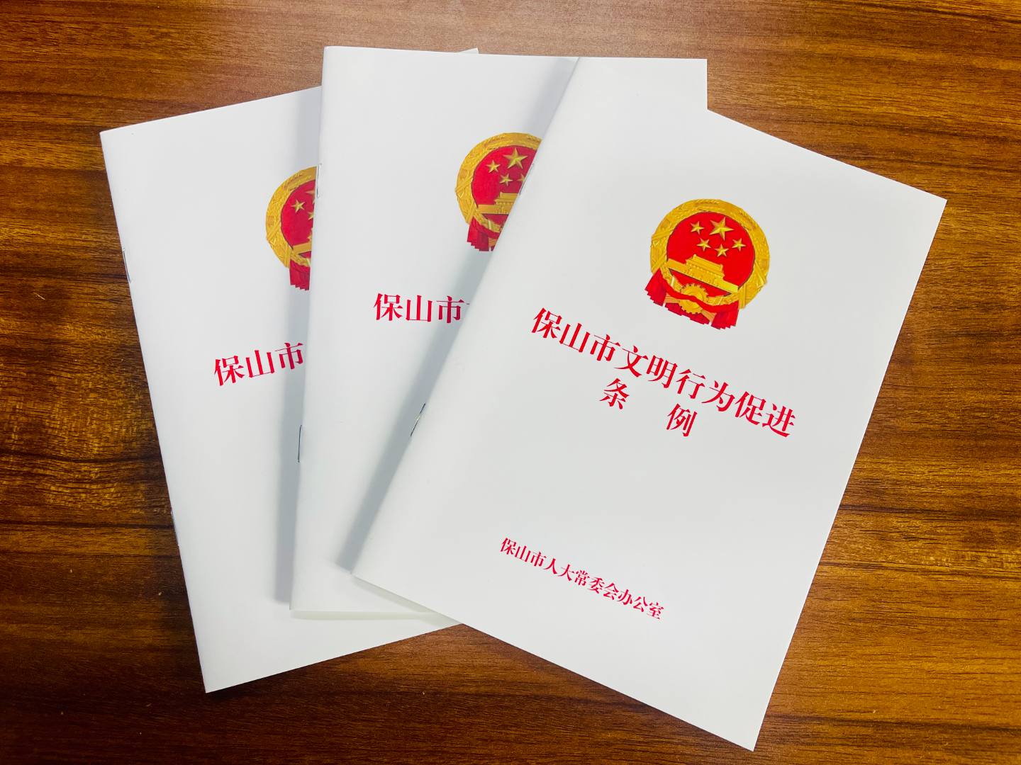 保山市文明行为促进条例 | 第二章 行为规范（第十条）