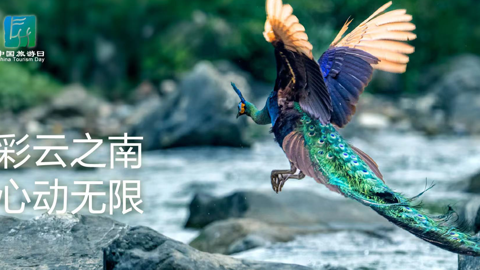 “5·19中国旅游日|践行文明旅游 乐享七彩云南