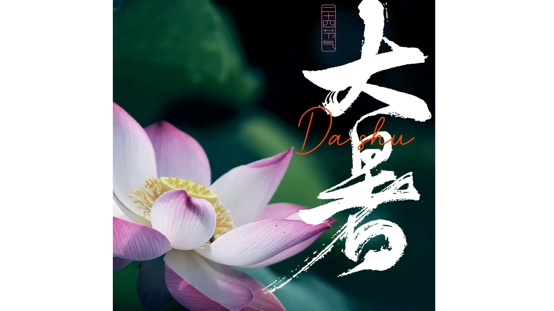 今日大暑