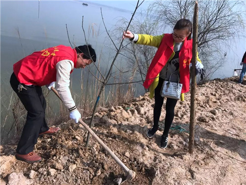 微信图片_20180312195518 微信图片_20180312195518